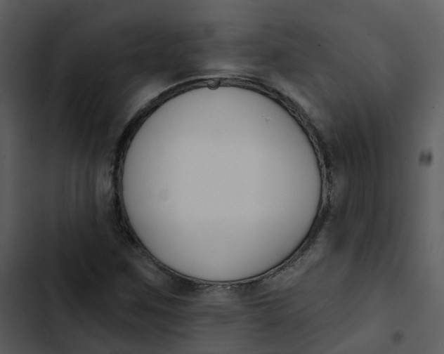 X0000102851259200809081235