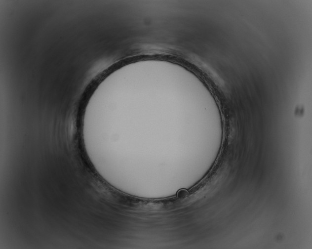 X0000102851261200809081235