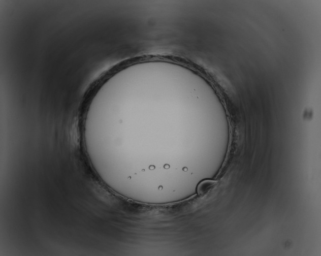 X0000102851262200809081235