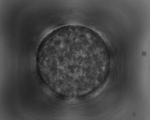 X0000102851263200809081235