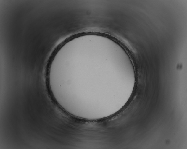 X0000102851264200809081235