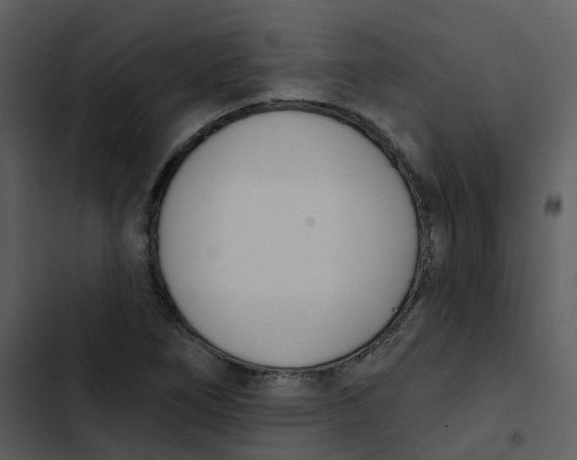 X0000102851266200809081235