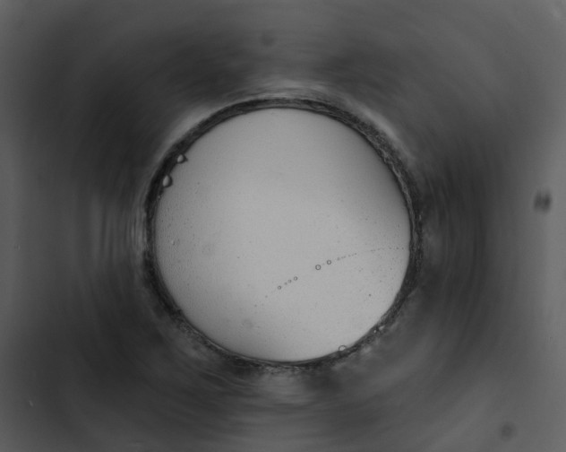 X0000102851267200809081235