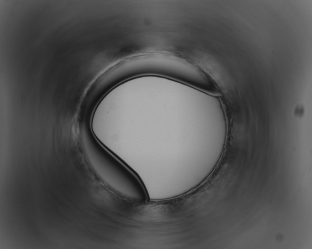 X0000102851268200809081235