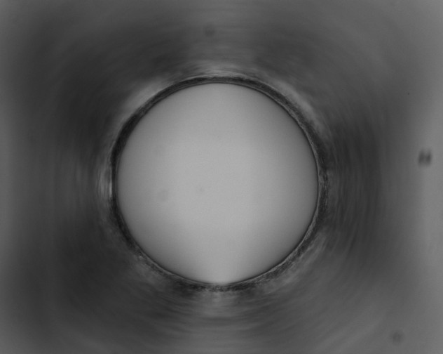 X0000102851269200809081235