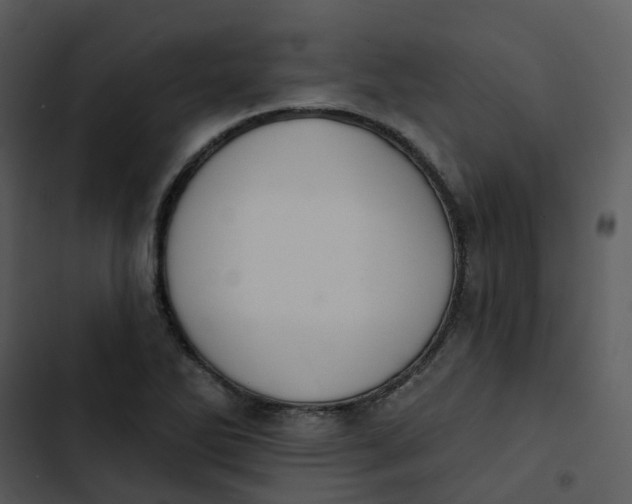 X0000102851270200809081235