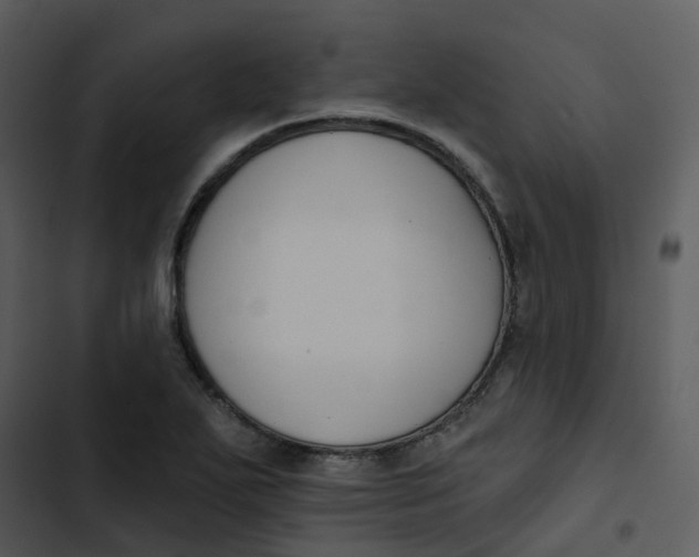 X0000102851271200809081235