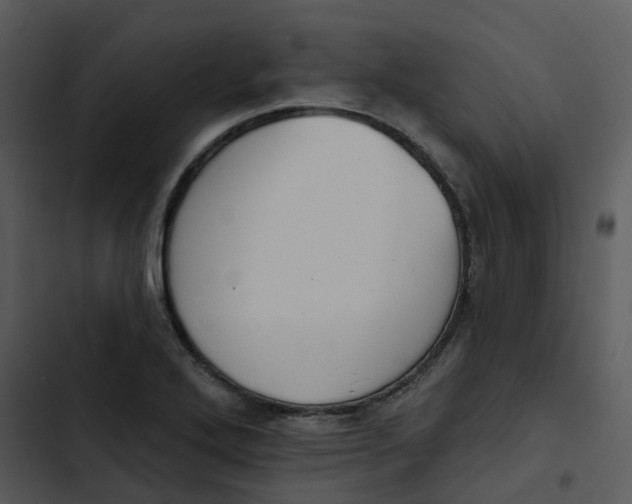 X0000102851272200809081235