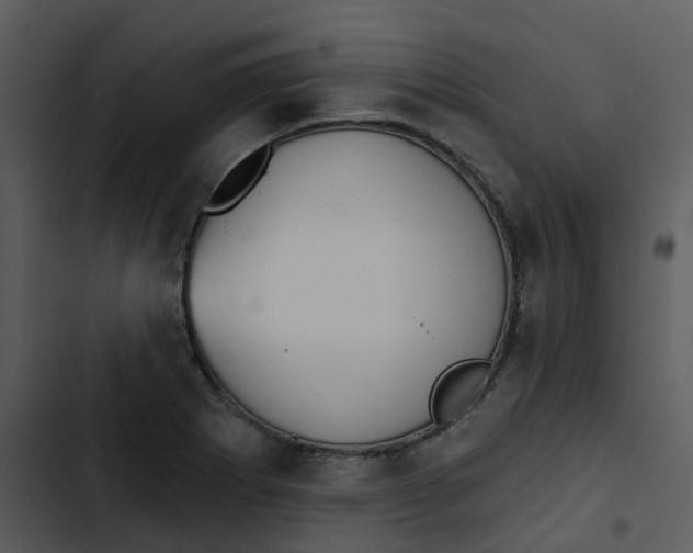 X0000102851273200809081235