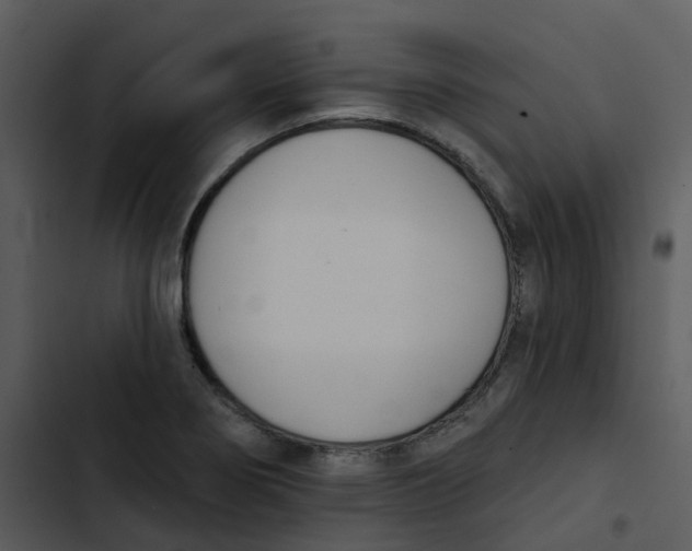 X0000102851274200809081235