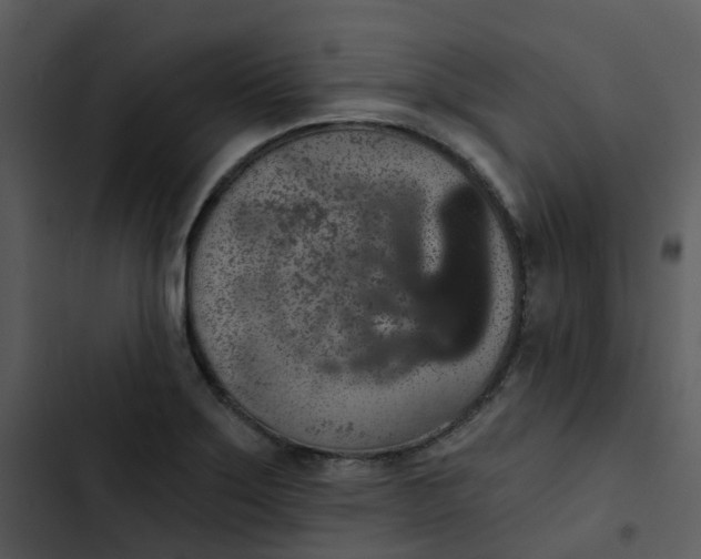 X0000102851275200809081235