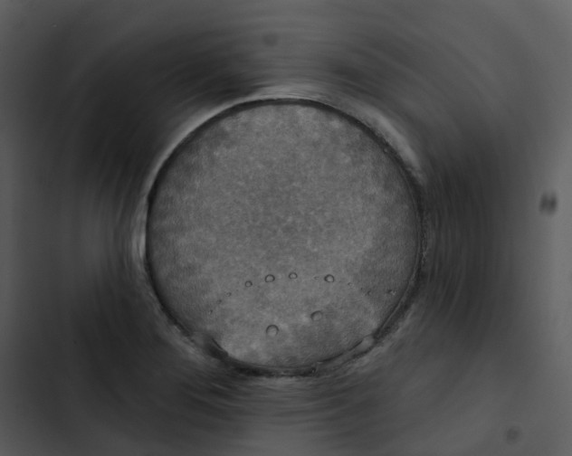 X0000102851276200809081235