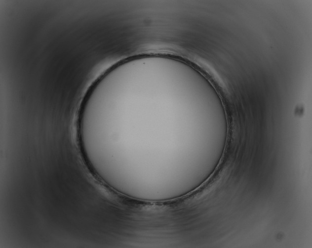 X0000102851277200809081235