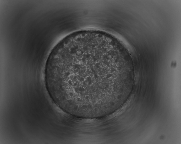 X0000102851279200809081235