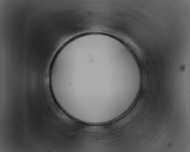 X0000102851280200809081235