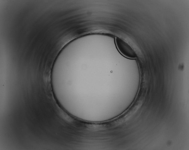 X0000102851281200809081235