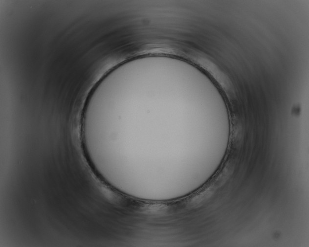 X0000102851282200809081234