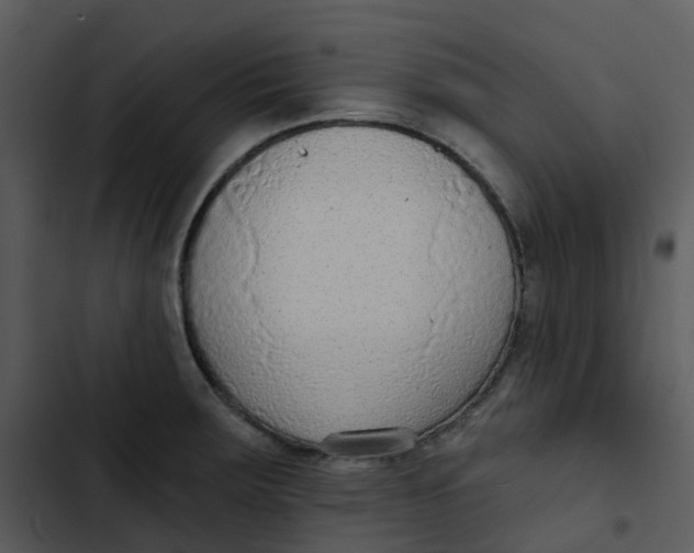 X0000102851283200809081234