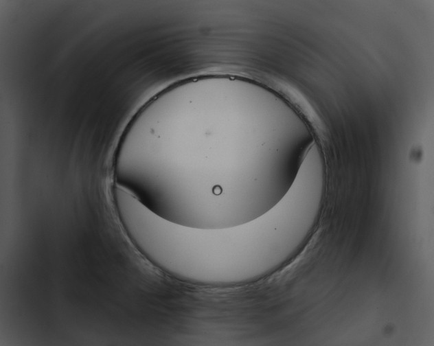 X0000102851284200809081234