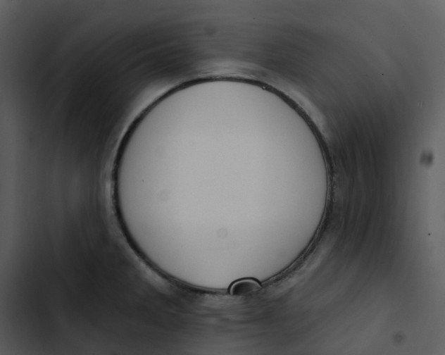 X0000102851285200809081234