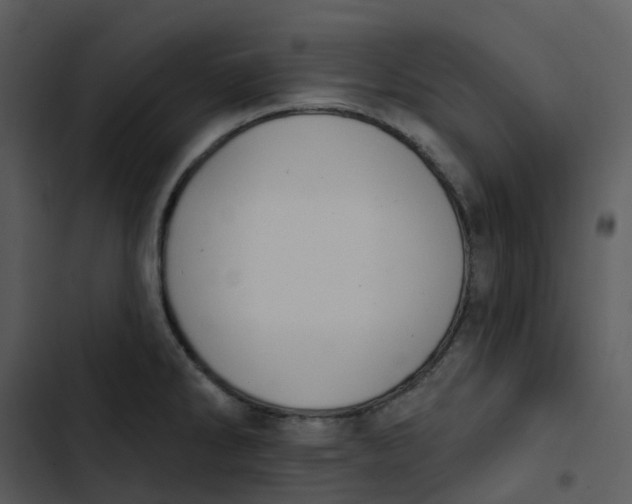 X0000102851286200809081234