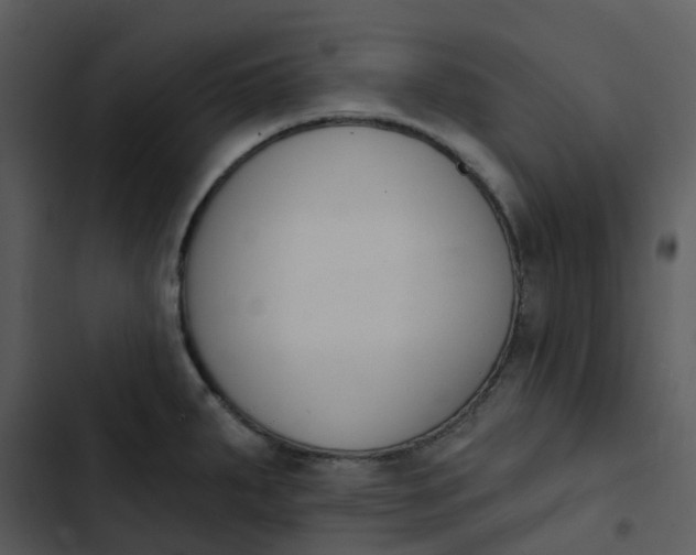 X0000102851287200809081234