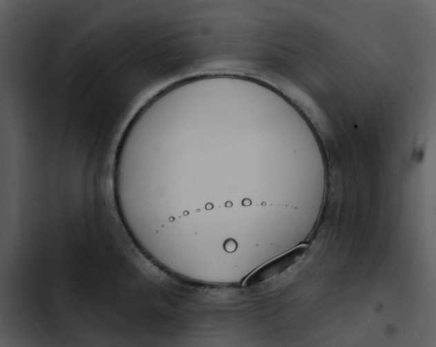 X0000102851288200809081234