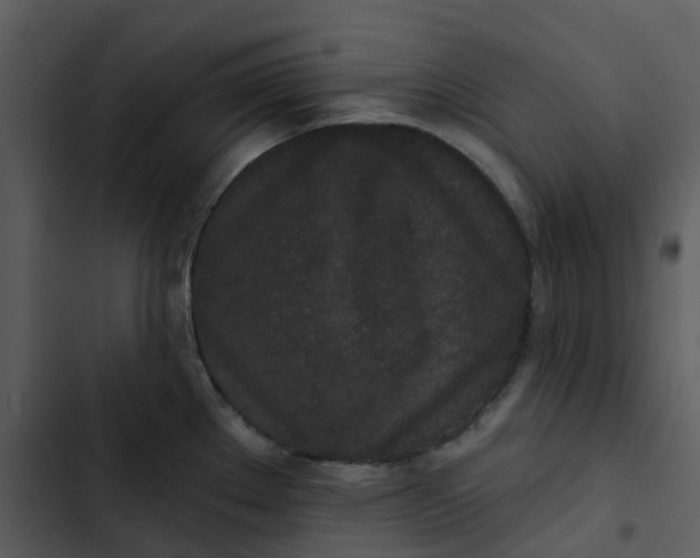 X0000102851289200809081234