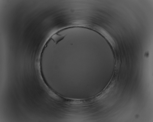 X0000102851291200809081234