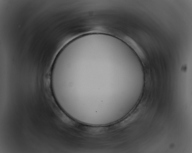 X0000102851292200809081234