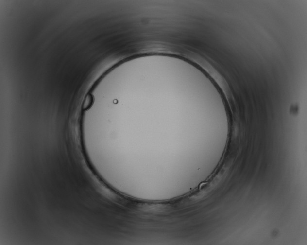 X0000102851293200809081234