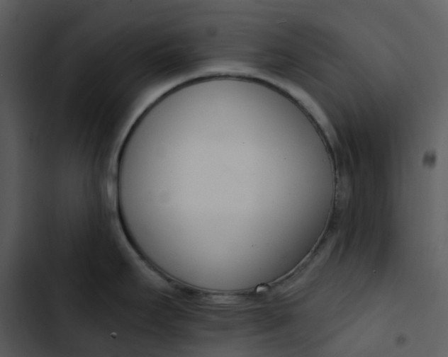 X0000102851295200809081234