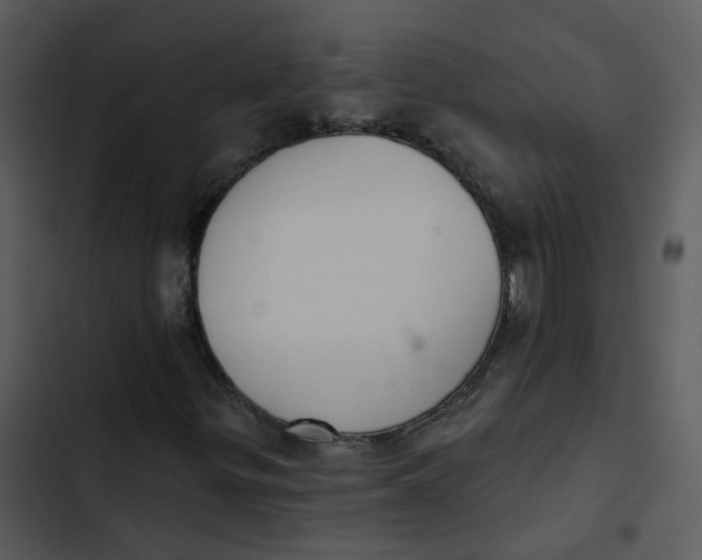 X0000102851299200809081233