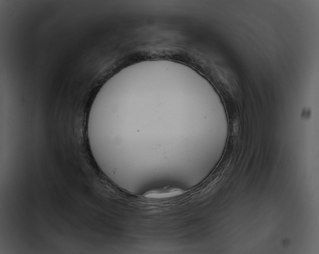 X0000102851300200809081234