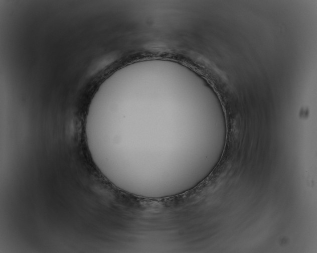 X0000102851302200809081234