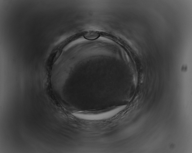 X0000102851303200809081234