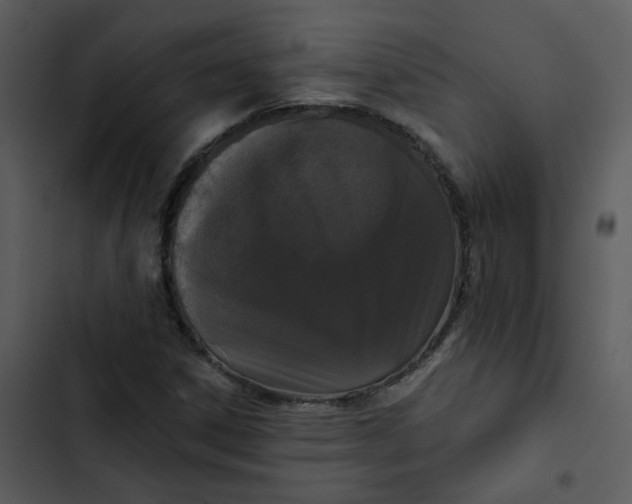 X0000102851306200809081234