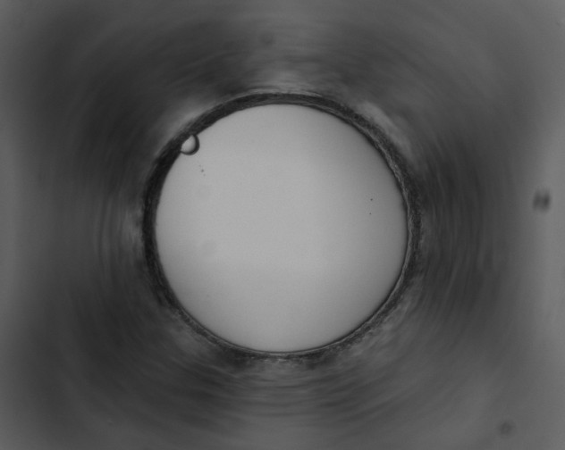 X0000102851307200809081234