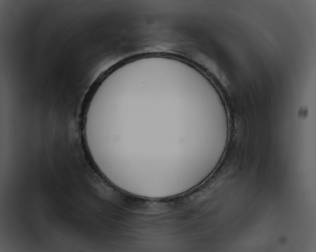 X0000102851308200809081234