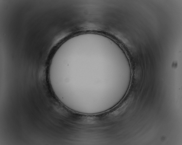 X0000102851309200809081234