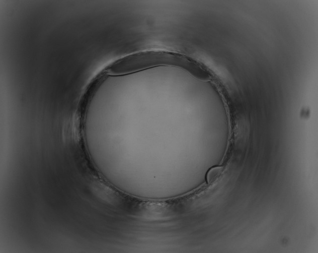 X0000102851310200809081234