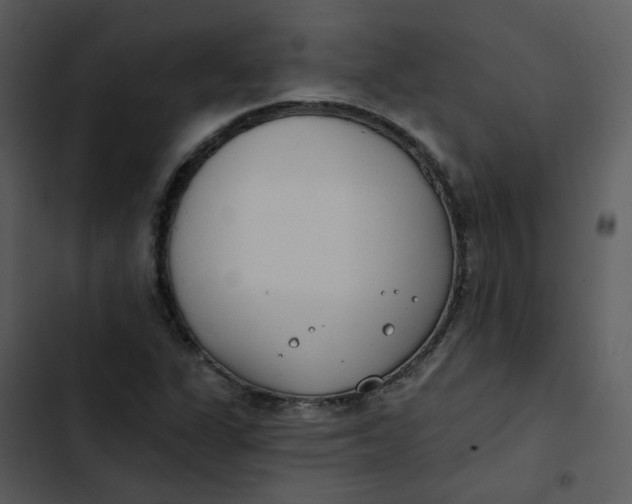 X0000102851311200809081234