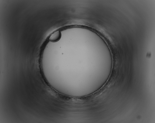 X0000102851312200809081234