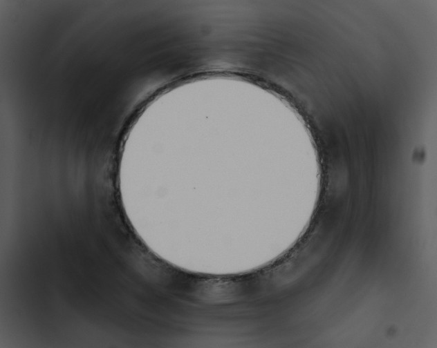 X0000102851314200809081234