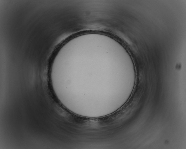 X0000102851315200809081234