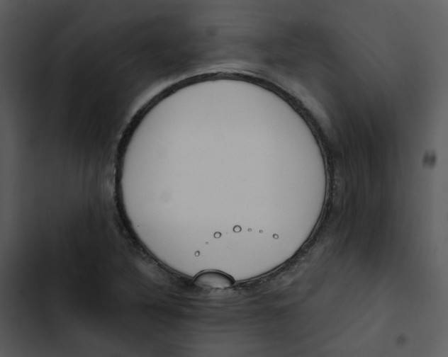 X0000102851316200809081234