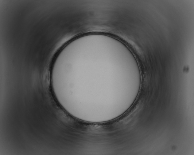 X0000102851317200809081234