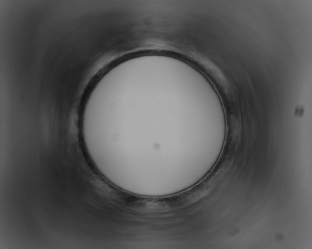 X0000102851318200809081234