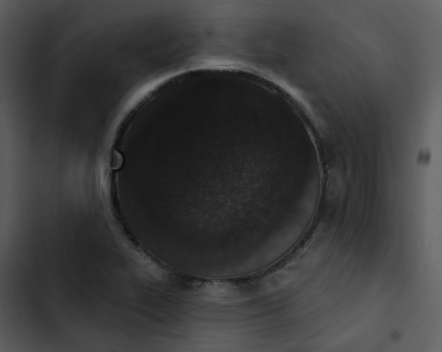 X0000102851319200809081234