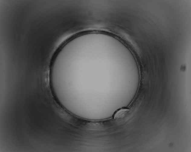 X0000102851320200809081234